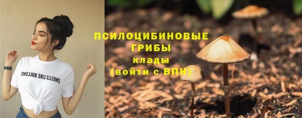 гашик Алексеевка