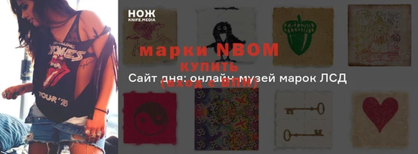 амф Аркадак