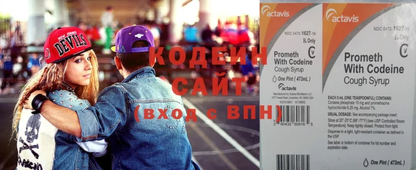кокс Алексин