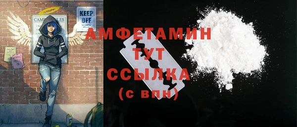 гашик Алексеевка