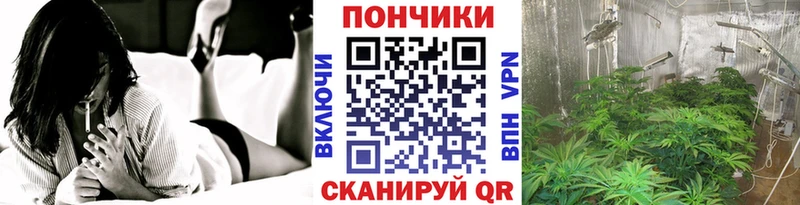 Шишки марихуана тримм  Шахты 